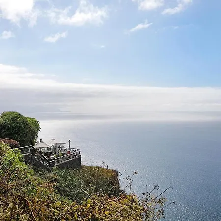 Linaje Del Pago Listan Blanco * El Sauzal